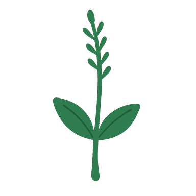 How Journaling Actually Helps Your Wellbeing (And Why It's Not What You Think)