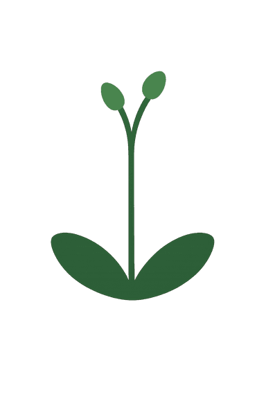 Making the Most of Campus Counseling Services: A Real Guide for College Students